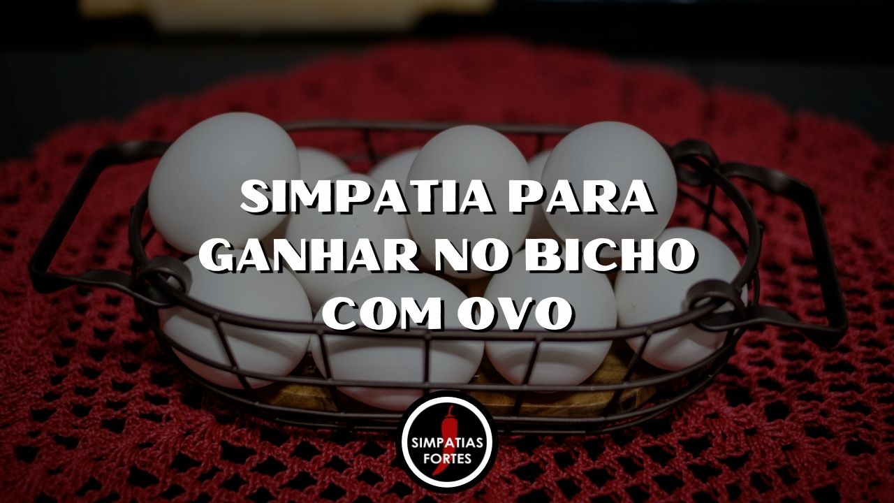 Simpatia para ganhar no bicho