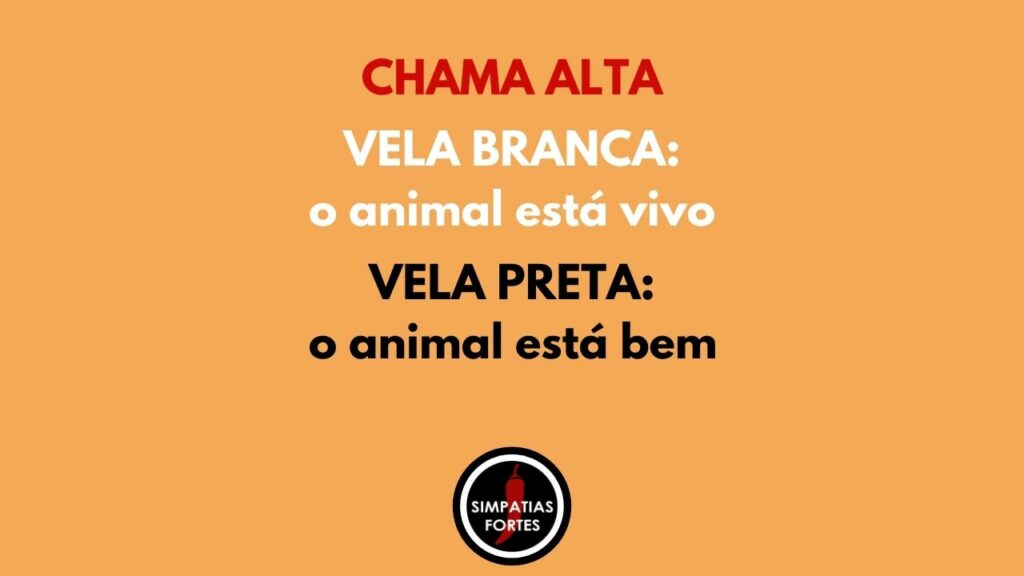 Significado da chama da vela alta