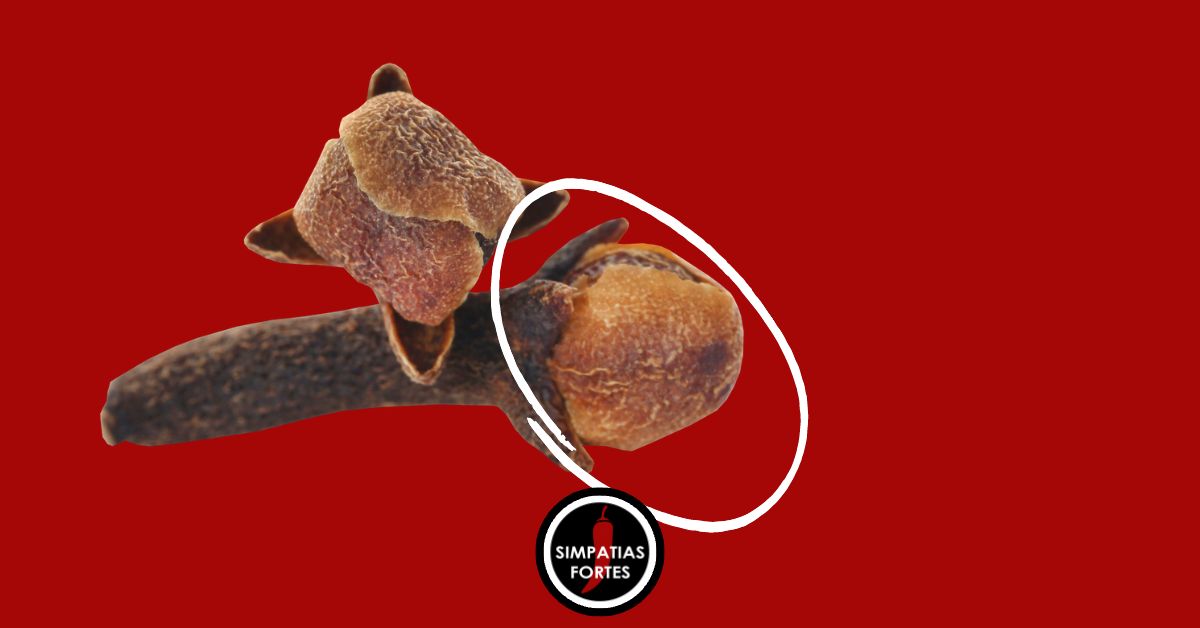 10 Simpatia para menstruação descer - Rápido e na hora!