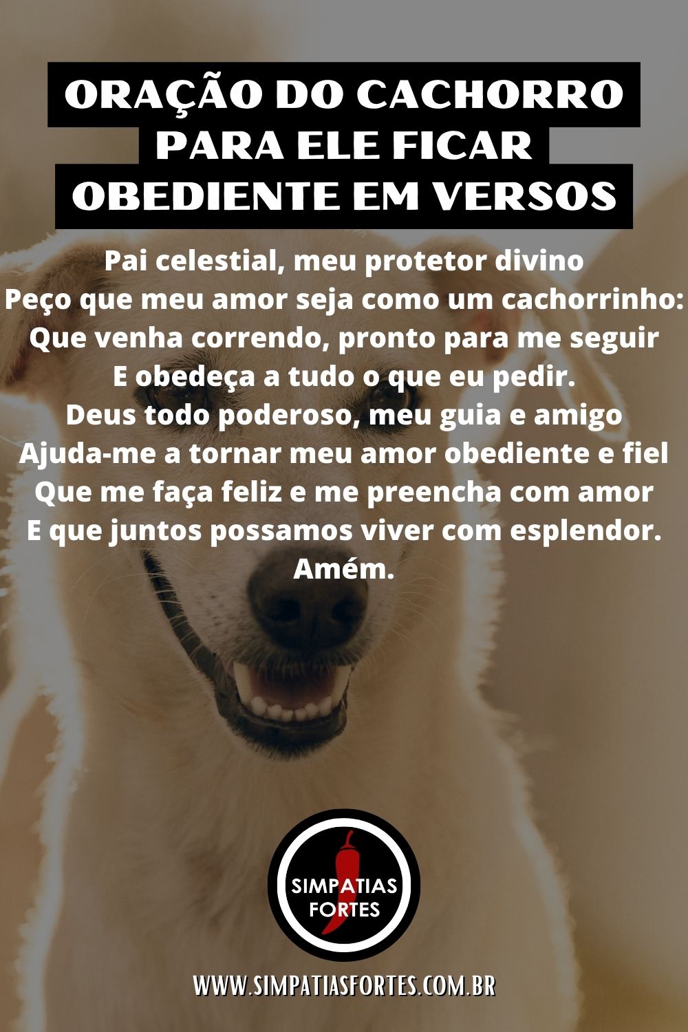 Oração do cachorro para ele ficar obediente em versos