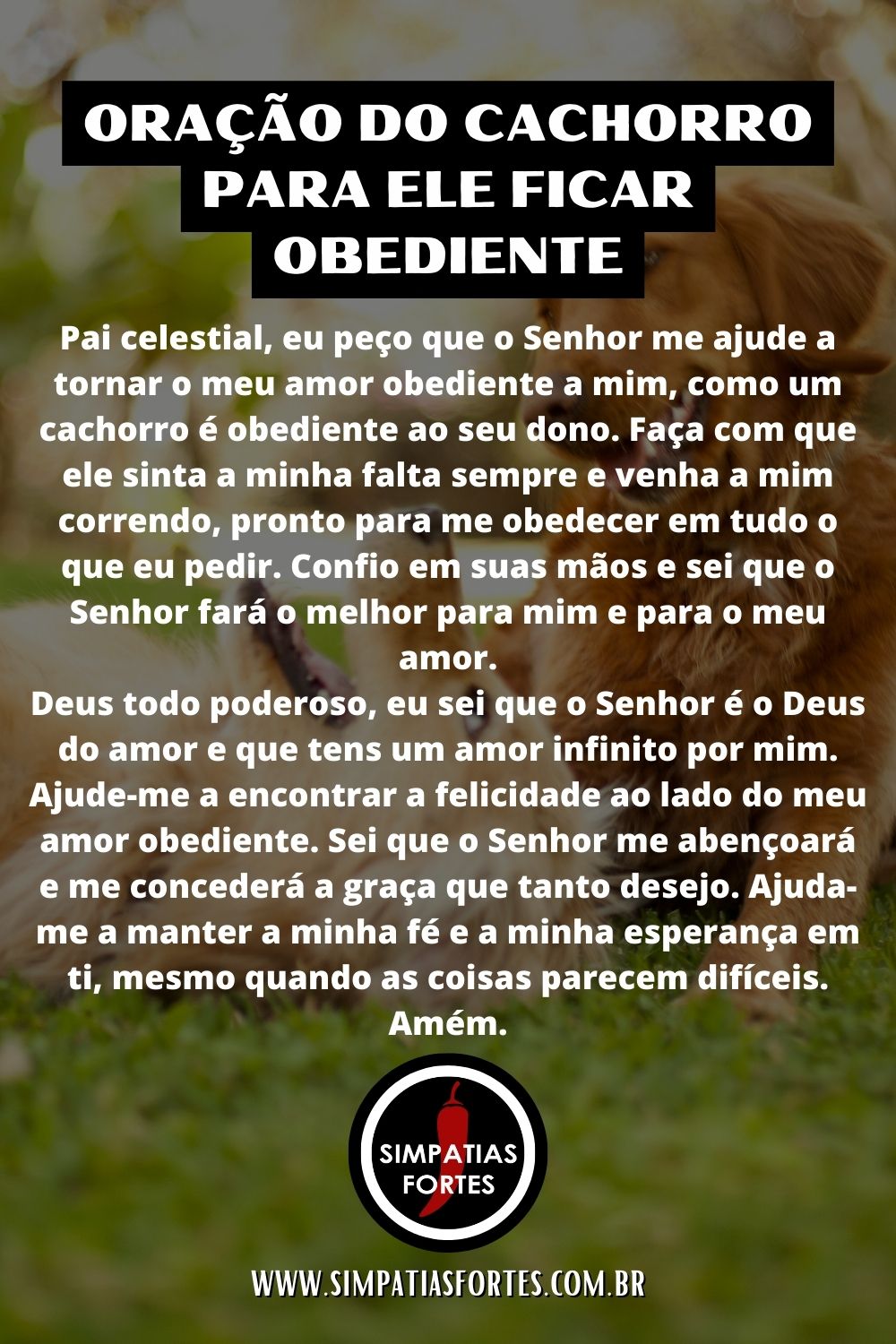 Oração do cachorro para ele ficar obediente