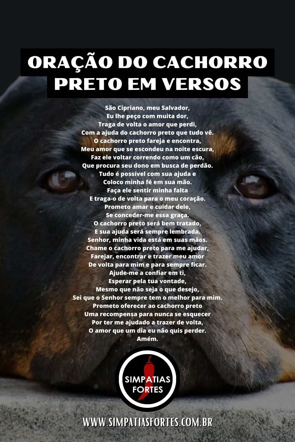 Oração do cachorro preto em versos