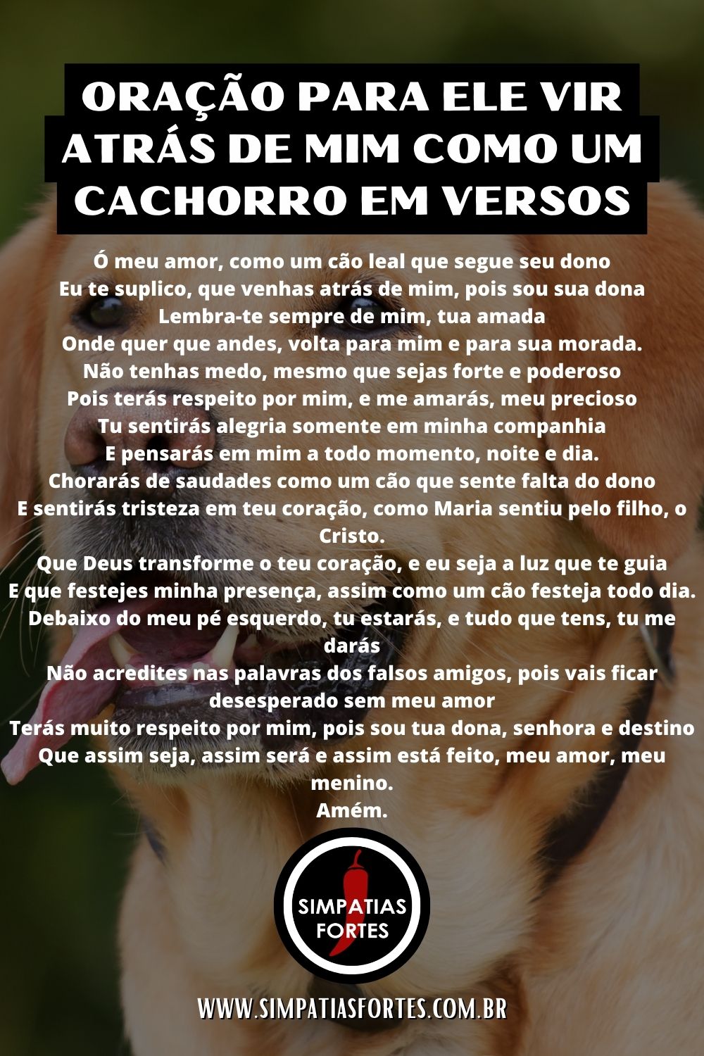 Oração para ele vir atrás de mim como um cachorro em versos