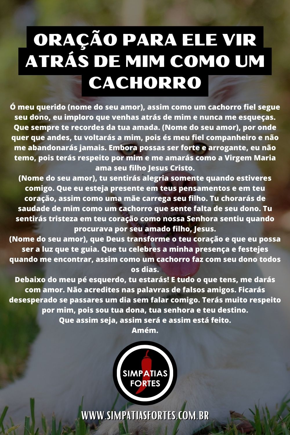 Oração para ele vir atrás de mim como um cachorro