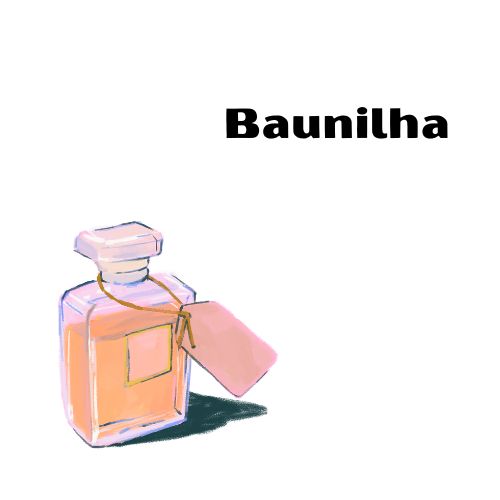 Se eu te desse um desses perfumes, qual você escolheria?