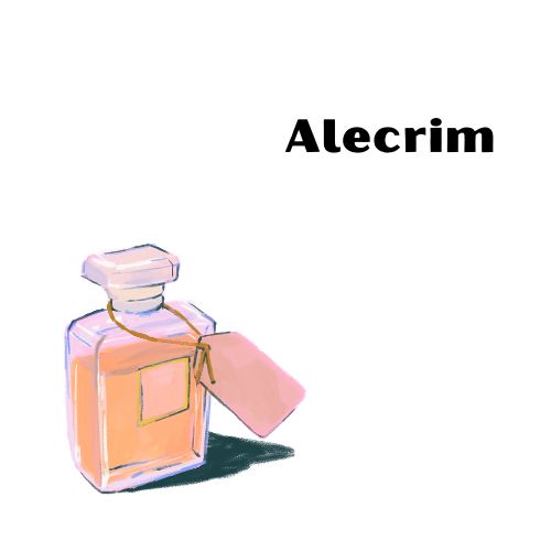 Se eu te desse um desses perfumes, qual você escolheria?