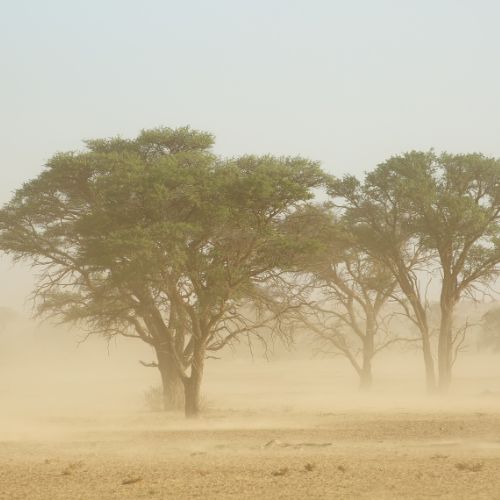 Qual paisagem mais se conecta com você agora?